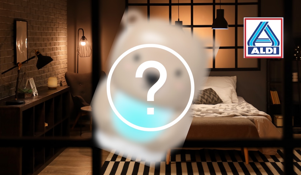 ALDI Nord Bär Aroma-Diffusor 