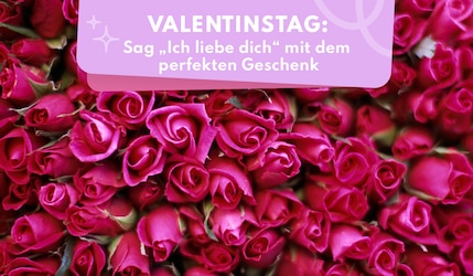 Ein Meer aus pinken Rosen zum Valentinstag
