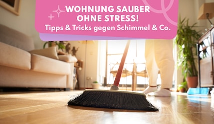 Wohnung sauber ohne Stress: Die besten Tricks gegen Schimmel, Teppichflecken & Co.