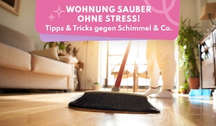 Wohnung sauber ohne Stress: Die besten Tricks gegen Schimmel, Teppichflecken & Co.