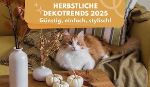 herbstliche Deko-Trends 2025