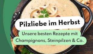Pilzliebe im Herbst: Unsere besten Rezepte mit Champignons, Steinpilzen & Co.