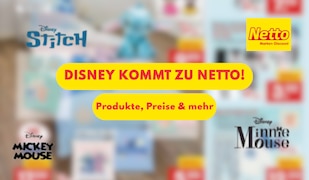Disney bei Netto Schriftzug und Logos
