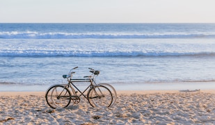 Fahrräder stehen vor dem Meer am Strand