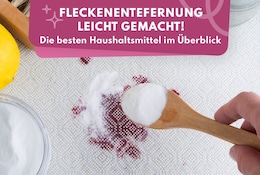 Fleckentfernung Brochorial Header Image