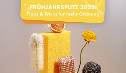 Frühjahrsputz 2025 Ratgeber Header Image