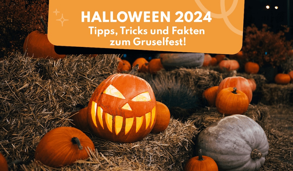 Halloween-Ratgeber Header Image mit Kürbissen