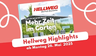 Hellweg Prospekt 26.05.2025 - jetzt Outdoor- & Garten-Deals sichern!