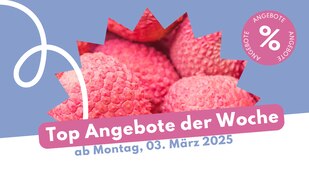 Header Image Prospekt-Highlights ab 03. März 2025 bei Lidl, ALDI und Co. mit Angeboten und Mangostan