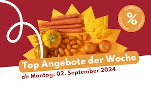 Header Image Prospekt-Highlights ab Montag, 02. September 2024