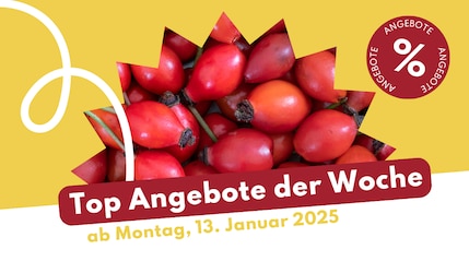 Header Image Prospekt-Highlights ab Montag, 13. Januar 2025 bei ALDI, Netto, Lidl und Penn