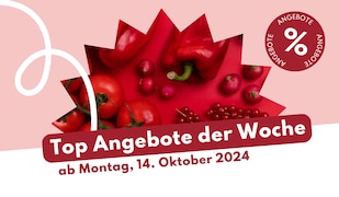 Header Image für Prospekt-Highlights ab Montag, 14. Oktober 2024