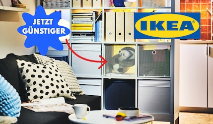 IKEA Preissenkung 2026