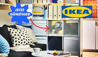 Aktueller Artikel zu Angelzubehör Preissenkung bei IKEA: Sichert euch jetzt bis zu 40% Rabatt!