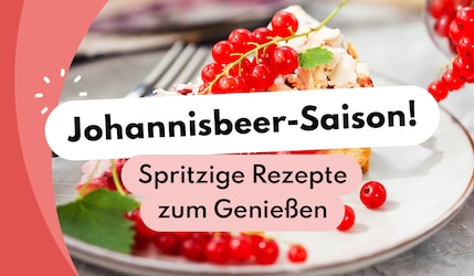 Johannisbeer-Rezepte Header Image