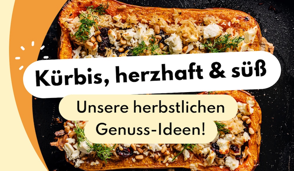 Kürbis Rezepte Header Image