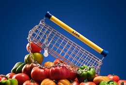 Discount trifft High Fashion: Das neue It-Piece von Lidl!