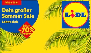 Großer Lidl Sommer Sale 2025