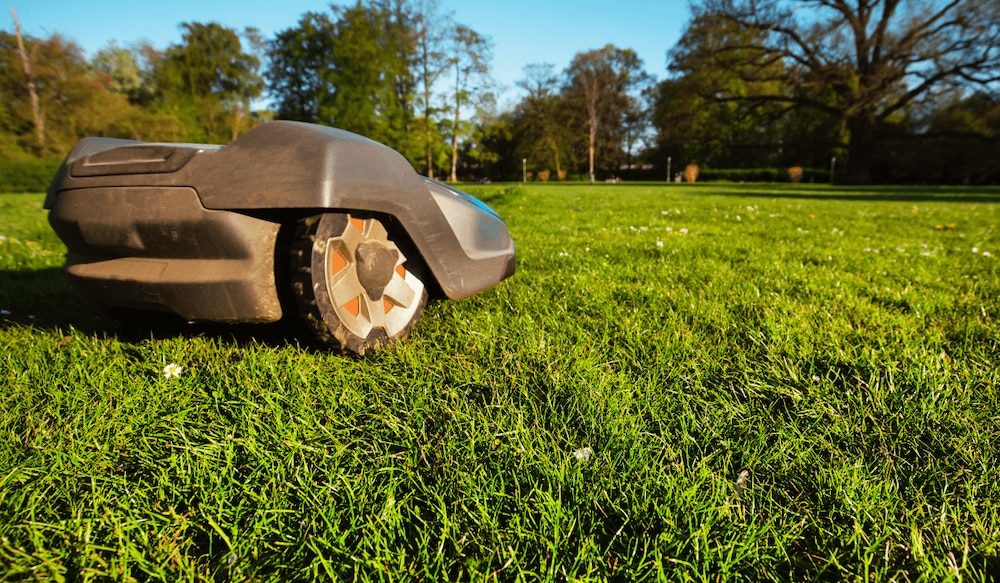 Mähroboter mäht den Rasen