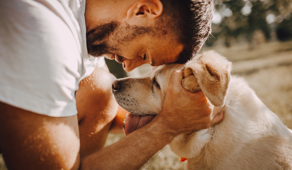 Mann streichelt einen Hund