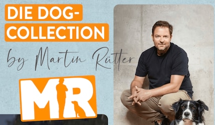 Martin Rütter Dog-Collection bei ALDI Süd im Prospekt der KW42