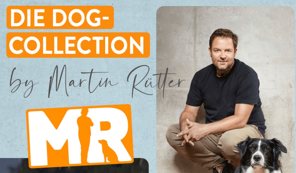 Martin Rütter Dog-Collection bei ALDI Süd im Prospekt der KW42