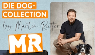 Martin Rütter Dog-Collection bei ALDI Süd im Prospekt der KW42