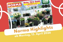NORMA Prospekt 13.04.2026: Alles für Haustier & Garten!