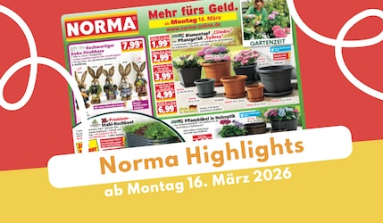 Norma Prospekt 16.03.2026