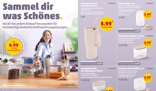 PENNY Brabantia Treueaktion 2026 mit Aufbewahrungsprodukten