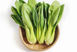 Pak Choi in einer Schale