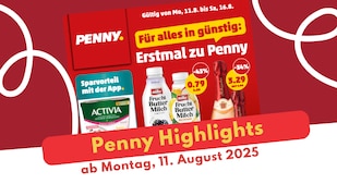 PENNY Prospekt 11.08.2025 - die besten Angebote der Woche