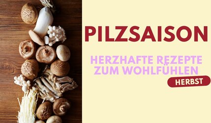 Pilzrezepte Header Image