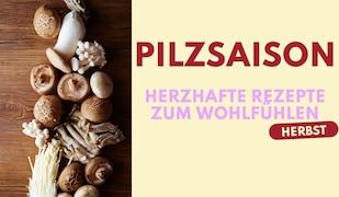 Pilzrezepte Header Image