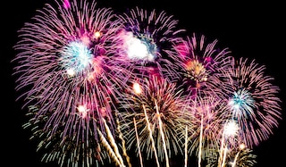 Aktueller Artikel zu Gurkenpflanze ALDI Nord Feuerwerk Prospekt 2025/2026: Feuerwerk für Kinder jetzt schon zu haben!