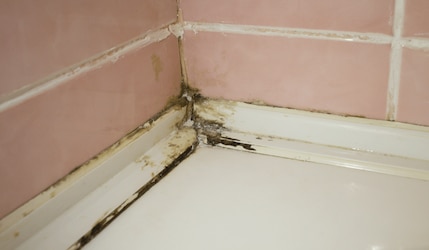 Badfließen in der Dusche mit schwarzem Schimmel