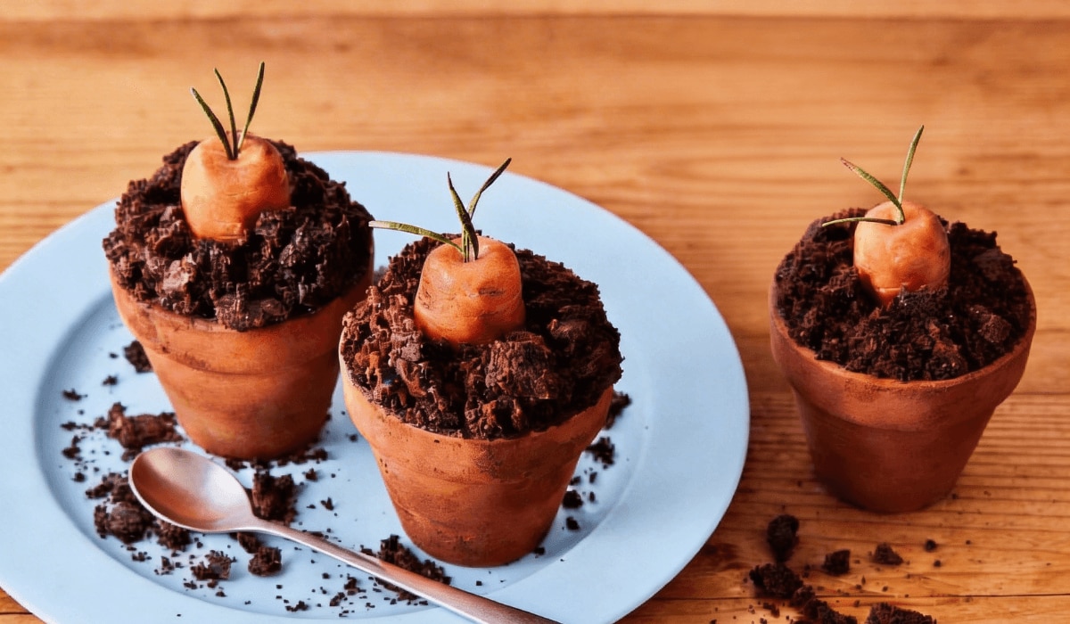 Schokomuffins im Blumentopf