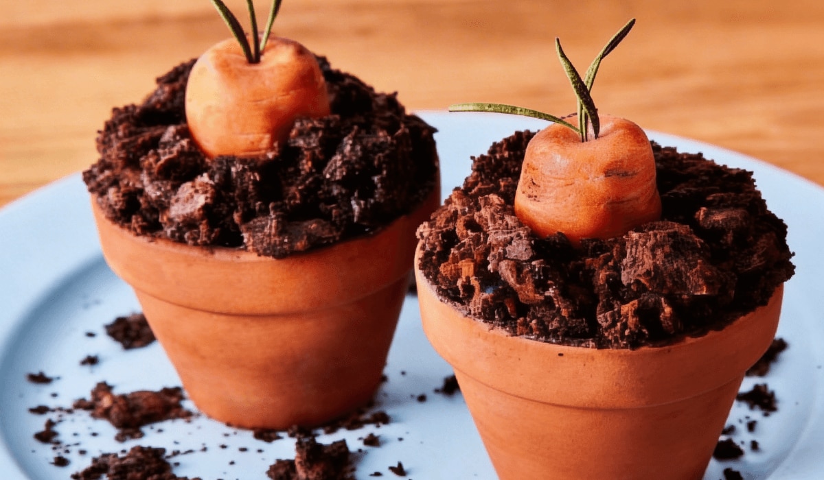 Schokomuffins im Blumentopf