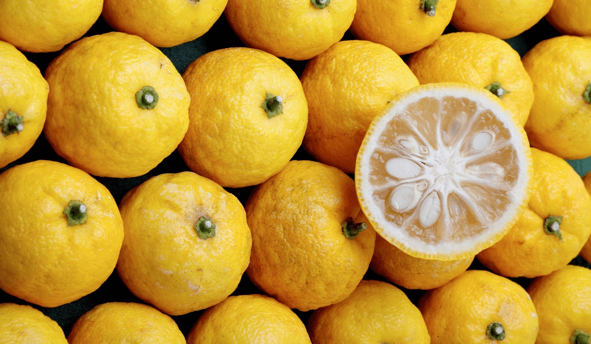 Yuzu und aufgeschnitten Yuzu auf einem Stapel