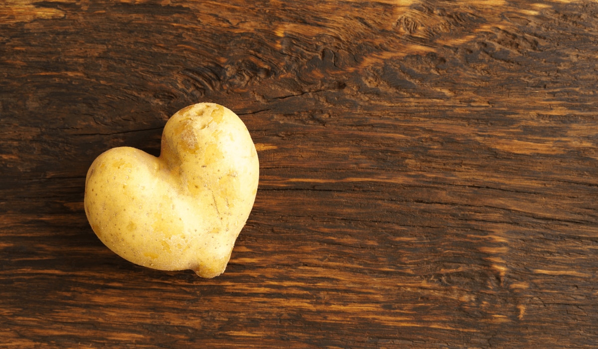 Food Trend Misfits