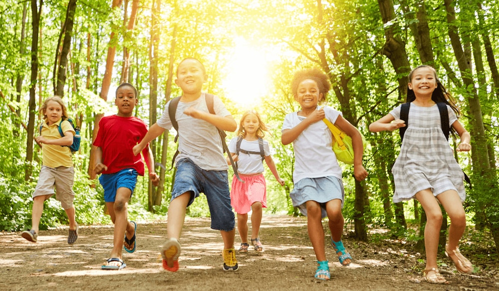 glückliche Kinder rennen im Sommer durch den Wald