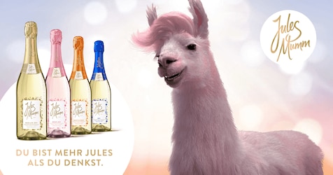 Jules-Mumm-Werbung: Lama Jules erobert Herzen