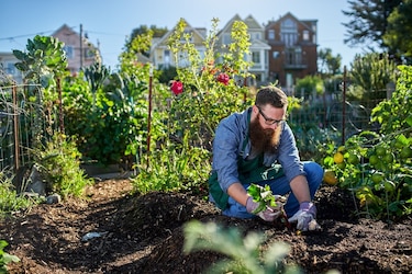 OBI Gartenplaner 2018: Kostenlos online mit OBI den Garten planen