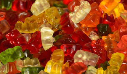 Das Weihnachtssortiment von HARIBO auf einen Blick