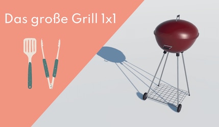 Das große Grill 1x1 - Gasgrill, Holzkohlegrill, Grillkohle und mehr