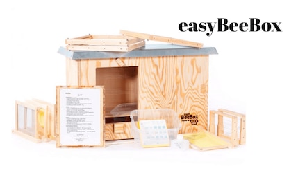 easyBeeBox
