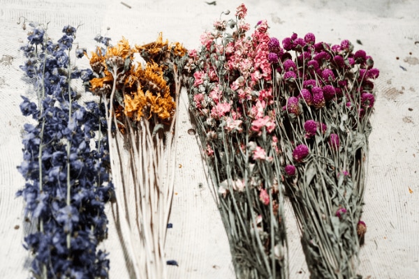 Trockenblumen für DIY-Oster-Blumenkranz