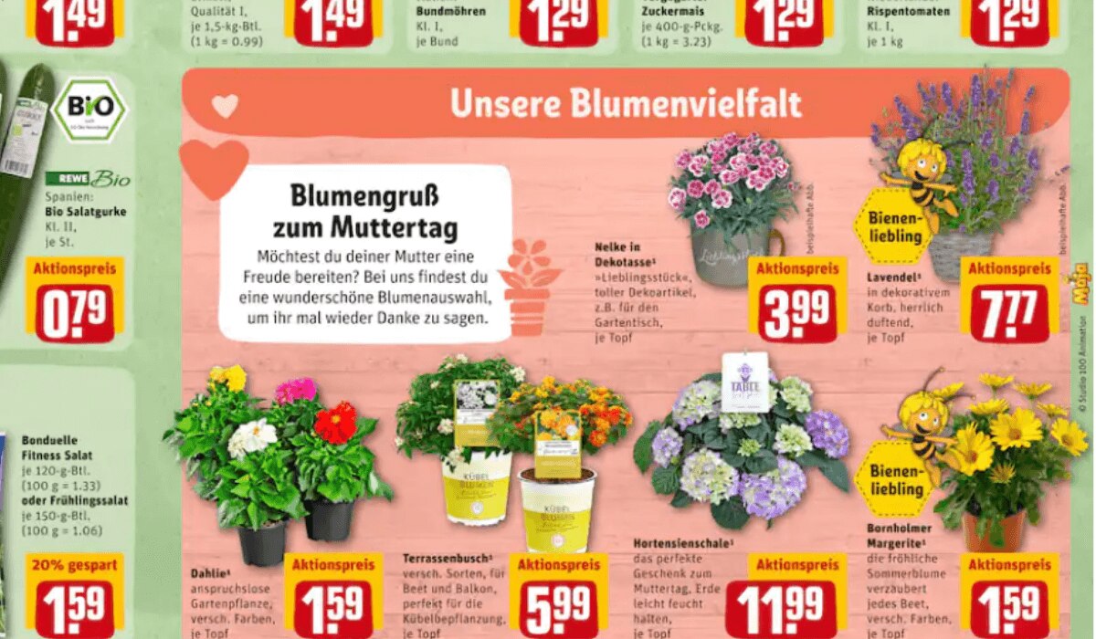 Prospekt Highlights KW18 Rewe 