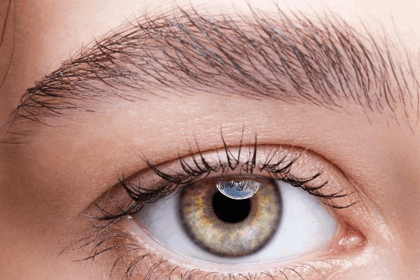 Brow Lift Augenbrauen