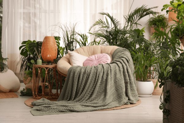 Papasan